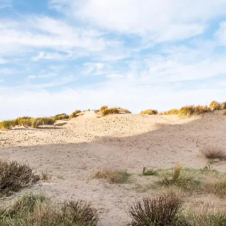 Manderley 204 Directly On The Dunes