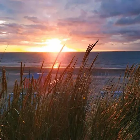 Manderley 204 Directly On The Dunes Apartman Oostduinkerke